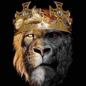 Meet your Posher, Oluwatusin